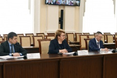 губернатор Алексей Островский дал ряд поручений, направленных на борьбу с распространением коронавируса на территории Смоленской области - фото - 5