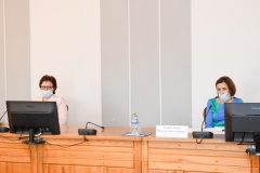 губернатор Алексей Островский провел рабочую встречу с руководителями некоммерческих организаций, реализующих мероприятия в сфере защиты прав детей - фото - 5