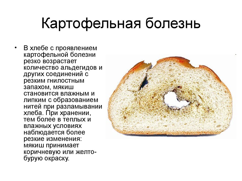 Инструкция по предупреждению картофельной болезни хлеба - kozharulitvrn.ru