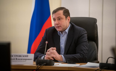 губернатор Алексей Островский провел рабочее совещание с социальным блоком Администрации области - фото - 2
