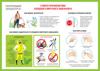 всероссийская тематическая «горячая линия» по профилактике клещевого энцефалита - фото - 2