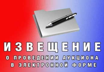 информационное сообщение о проведении аукциона в электронной форме по продаже муниципального имущества - фото - 2