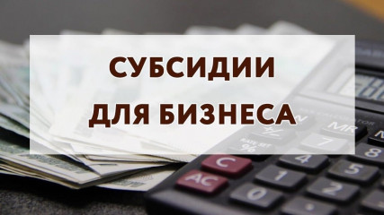 предоставление субсидий субъектам МСП, заключившим договор (договоры) лизинга оборудования с российскими лизинговыми организациями, на возмещение части затрат на уплату первого взноса (аванса) - фото - 1