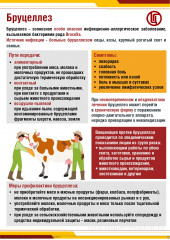 памятка о профилактике бруцеллеза - фото - 1