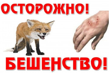 выявлен случай бешенства у дикого животного - фото - 2
