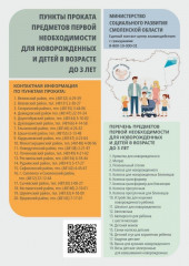 пункты проката предметов первой необходимости для новорожденных и детей в возрасте до 3 лет - фото - 1