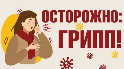 профилактика гриппа - фото - 1