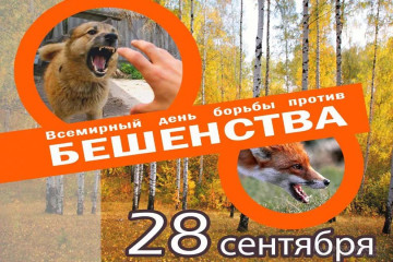 28 Сентября - Всемирный день борьбы с бешенством - 1 28 Сентября - Всемирный день борьбы с бешенством - фото - 1