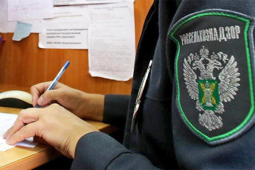 всероссийская практическая конференция по теме «Обязательные нормы качества сельскохозяйственной продукции по стандартам Россельхознадзора в 2026 году» - фото - 1