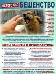 выявлен случай заболевания бешенством в д. Братковая - фото - 1