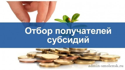 отбор на предоставление субсидий субъектам малого и среднего предпринимательства - фото - 1