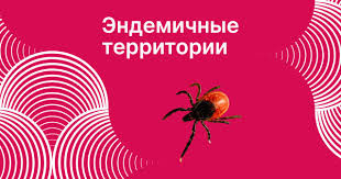управление Роспотребнадзора по Смоленской области публикует перечень эндемичных территорий по клещевому вирусному энцефалиту в 2025 году - фото - 1