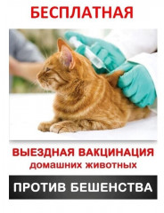 будет проводиться бесплатная вакцинация собак и кошек против бешенства - фото - 1