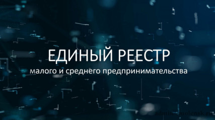реестр МСП: что это такое, как в него попасть и почему это важно для бизнеса - фото - 1