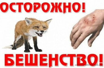 выявлен случай заболевания бешенством в д. Миловка - фото - 1
