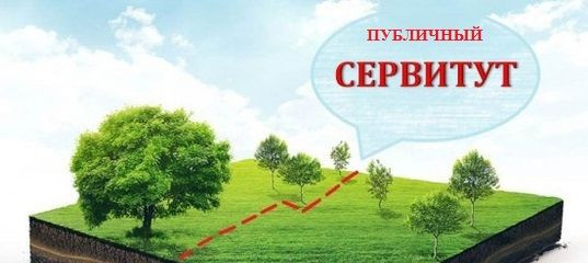 об установлении публичного сервитута - фото - 1
