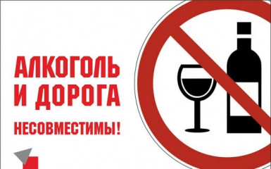 гарантией безопасности является полная трезвость - фото - 1
