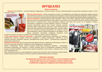 памятки по предотвращению распространения заразных болезней животных - фото - 4
