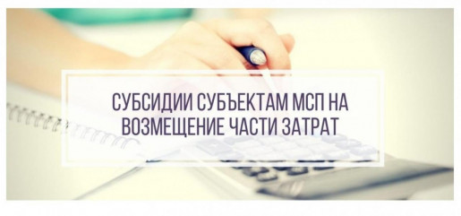 предоставление субсидий субъектам МСП, заключившим договор (договоры) лизинга оборудования с российскими лизинговыми организациями, на возмещение части затрат на уплату первого взноса (аванса) - фото - 1