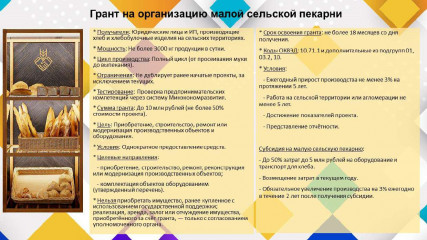 поддержка на реализацию проекта по организации малой сельской пекарни - фото - 1