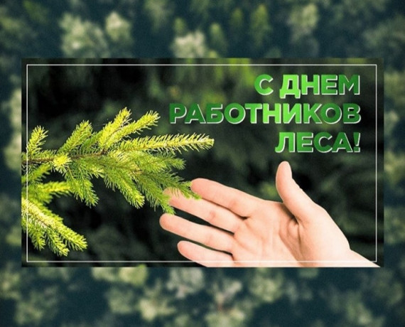 20 сентября - День работников леса - фото - 1