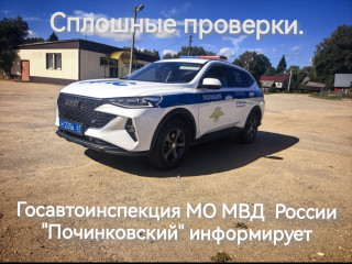23 октября на   территории  обслуживания МО МВД России "Починковский"  пройдут «сплошные проверки» - фото - 1